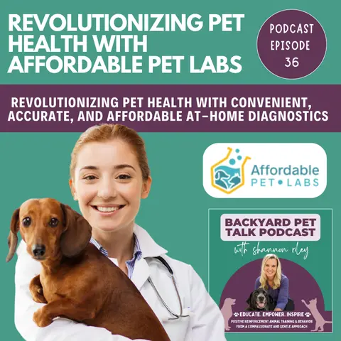Revolutionizing Pet Health with Affordable Pet Labs