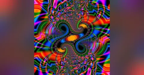 The Kaleidoscope of Life