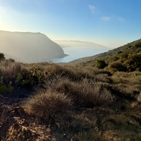 Island Biogeography with Kevin Alison and John Knapp