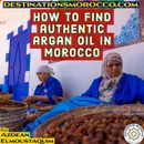 How to Find Authentic Argan Oil in Morocco