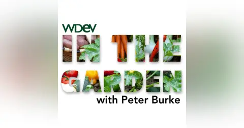 Gardening Beyond the Garden Season