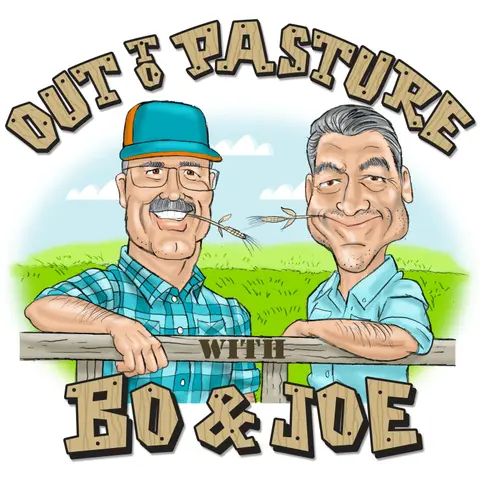 71. Training Camp Is Here: What Bo & Joe NEED to See From the Dolphins