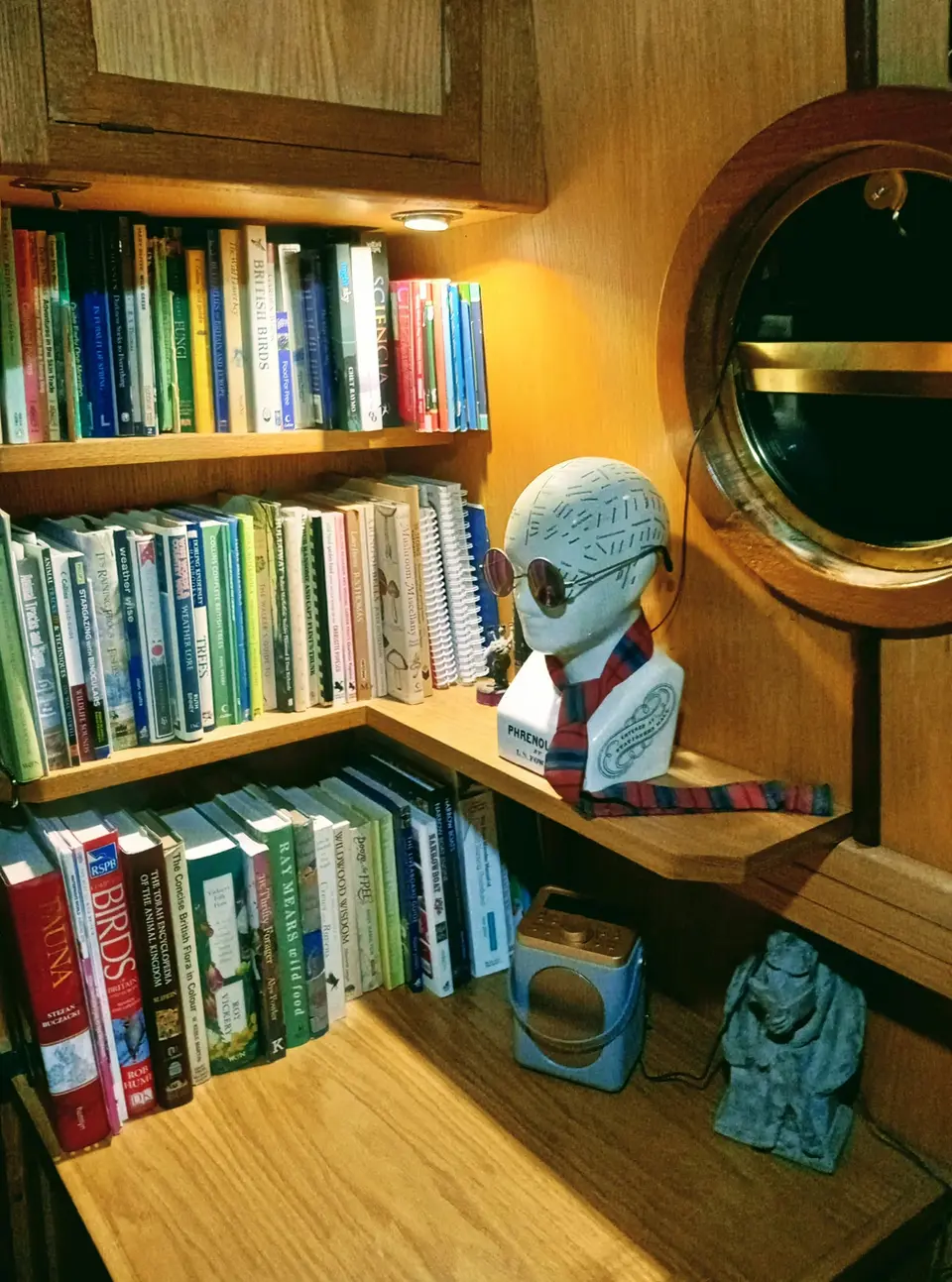 Study library.jpg The little library in the study