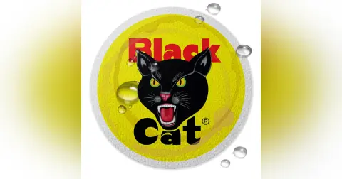 Episode 70: Black Cats, Fireworks and Celebrating a Logo We Love