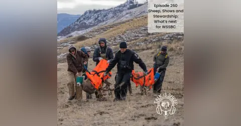 Sheep, Shows & Stewardship: What’s Next for WSSBC