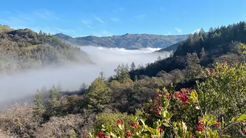 fog and sun