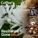 Coffee’s Powerful Nudge: Caffeine, Crisis, and the Regenerative Solution