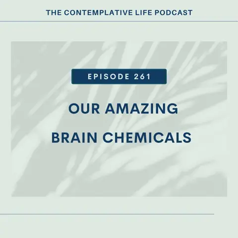 EP 261 Our Amazing Brain Chemicals