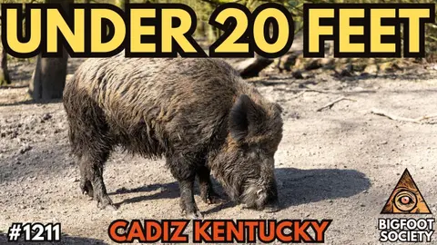 Kentucky Hunter Saw What Was Chasing the Wild Pigs