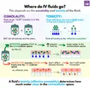 #103 Fluids: 5 Pearls Segment