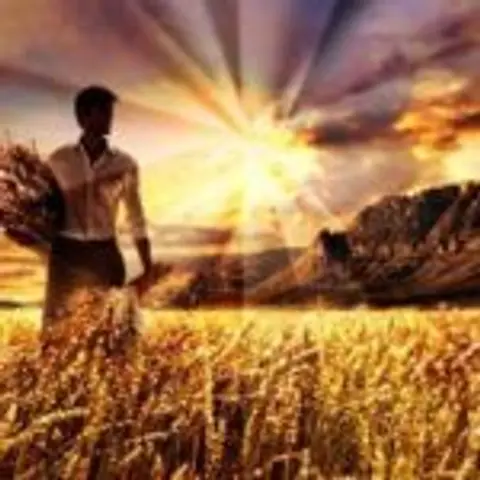 The Harvester and the Winnower