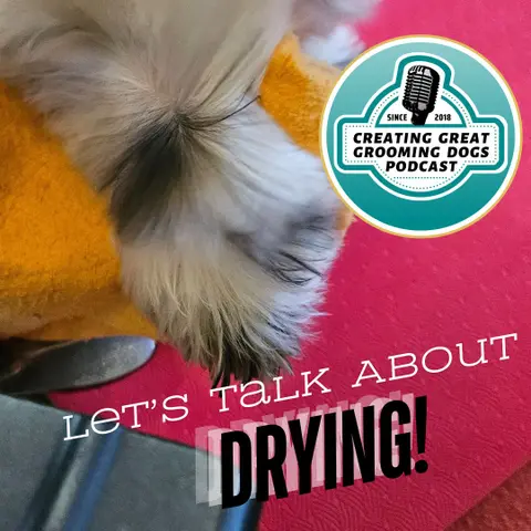 Let's Talk About Drying Ep199