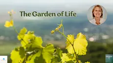 The Garden of Life