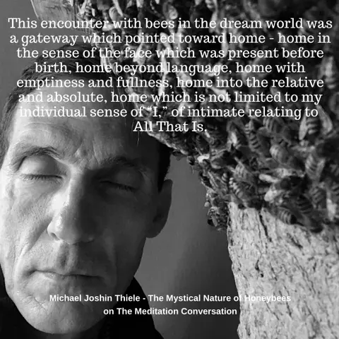 057. The Mystical Nature of Honeybees - Michael Joshin Thiele
