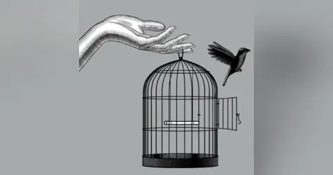 Derrick Broze | The Conscious Agora, Sovereignty Solutions, & Freedom Resources