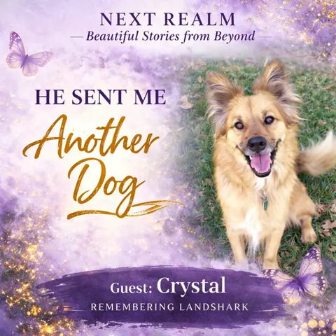 Messages From Beyond: Signs From a Pet After Death (Part 2)