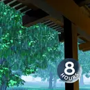 Rain Sounds on Tin Roof 8 Hours | Sleep, Study or Focus with Rainstorm White Noise