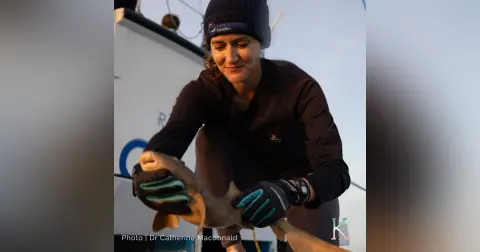 The Shark | With Dr. Catherine Macdonald, Marine Conservation Biologist