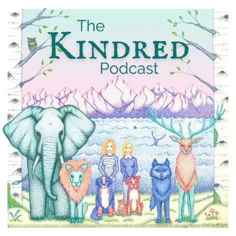 A New Season of Kindred Drops Oct 14!