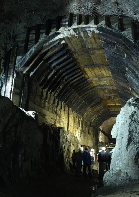 THE 2015 SEARCH FOR THE NAZI GOLD TRAIN (2016)