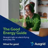 The Good Energy Guide