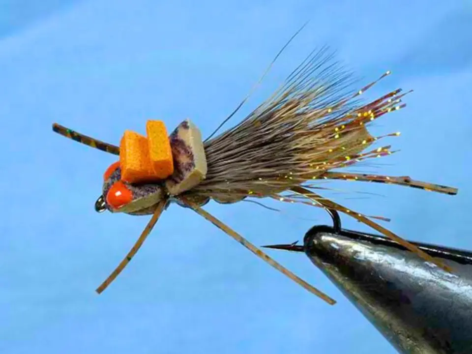 walter 3.jpg GFA Hopper by Walter Wiese