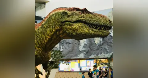 Live From The Dinosaur Museum