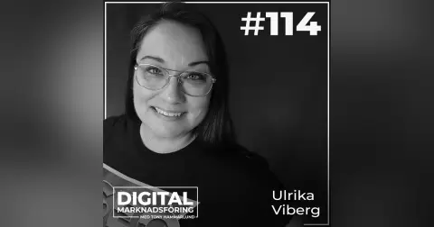 Google SGE, framtidens sök och generativ AI i SEO – Ulrika Viberg #114