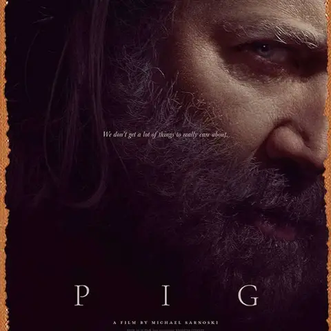 Dentists, Teeth & Pig