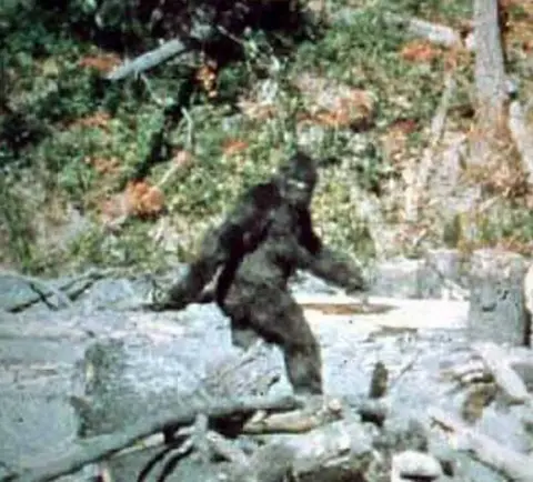 The Sasquatch Disciple