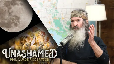 Ep 220 | Phil Finds Out Bees Can Sting at Night, the GameStop Saga, and Popeyes vs. Chick-fil-A