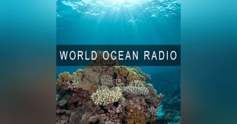 The Ocean Makes Earth Habitable