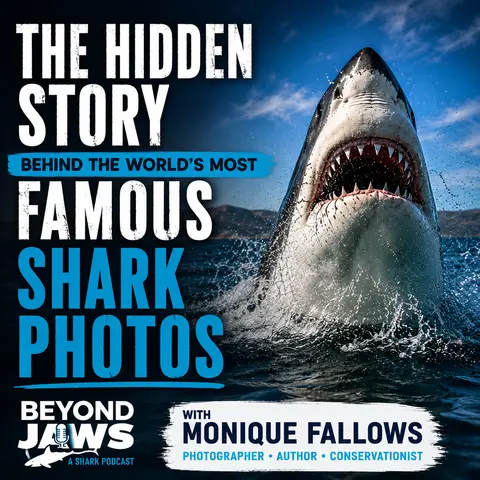 What Does a Camera Have to Do With Saving Sharks?