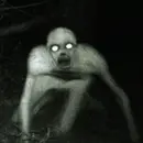 "La Bestia del Bosque" | Skinwalker Creepypasta