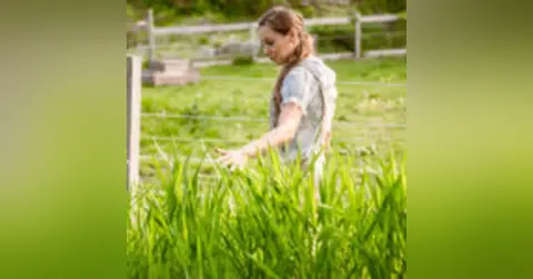 Homestead Instead – Angela Ferraro-Fanning