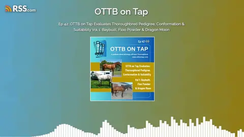 Ep 42: OTTB on Tap Evaluates Thoroughbred Pedigree, Conformation & Suitability Vol 1:...