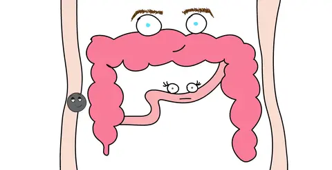 The Deathly Hernia