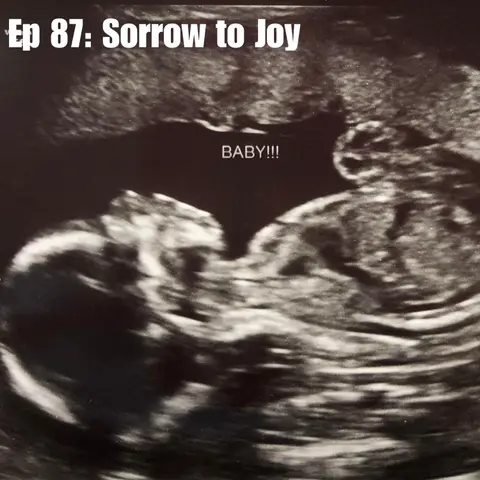 Ep 87: Sorrow to Joy (w/ Whitney Dalp)