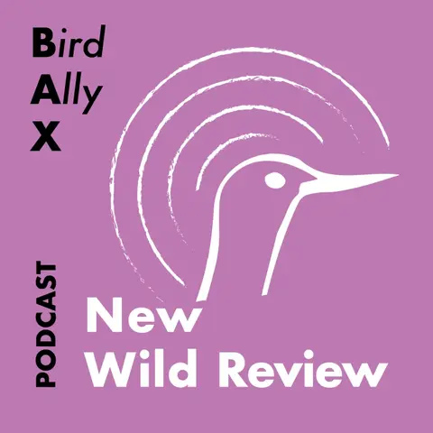 New Wild Review v 6 ep 5 PLEASE RELEASE ME!