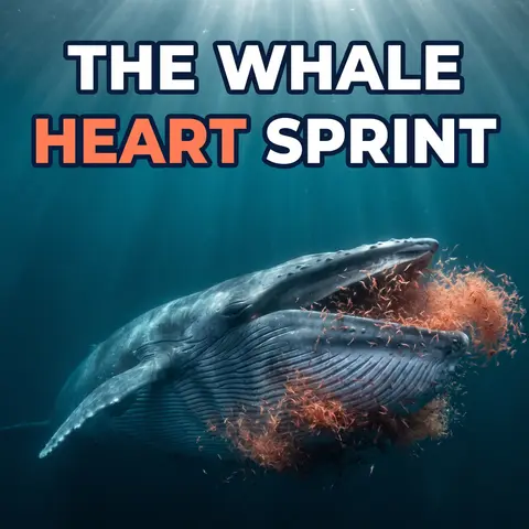 Whales Are Sprinters: What a Blue Whale's Heart Does When It Lunge Feeds
