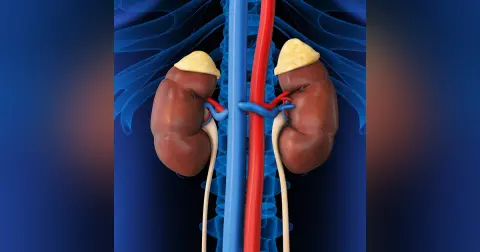 Adrenal Insufficiency