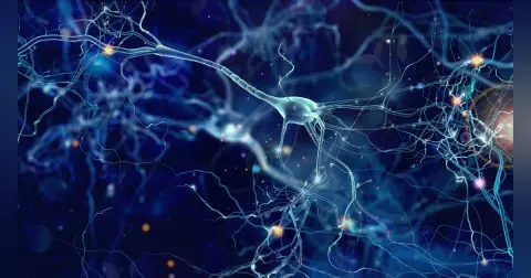 Nerve Repair and Grafting (Part 1)