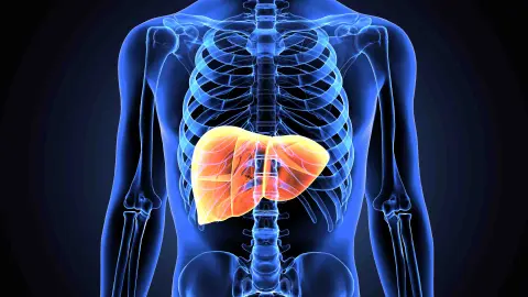 Approach to Liver Masses