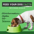 How to Find the Right Puppy Food?