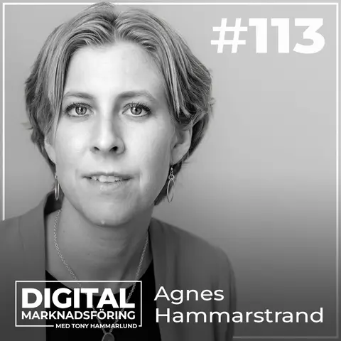 IMY-granskning, Data Privacy Framework och cookies – Agnes Hammarstrand #113