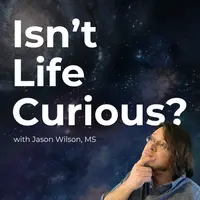 Isn't Life Curious?