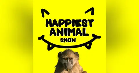 Smart Animals (with octopus scientist Chelsea Bennice)