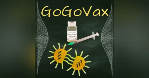 Double Duty: Can the meningitis vaccine also protect against gonorrhea?