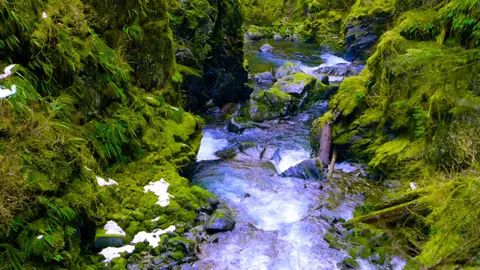 Relaxing Water Sounds for Sleeping, Studying or Stress Relief | River White Noise 10 Hours