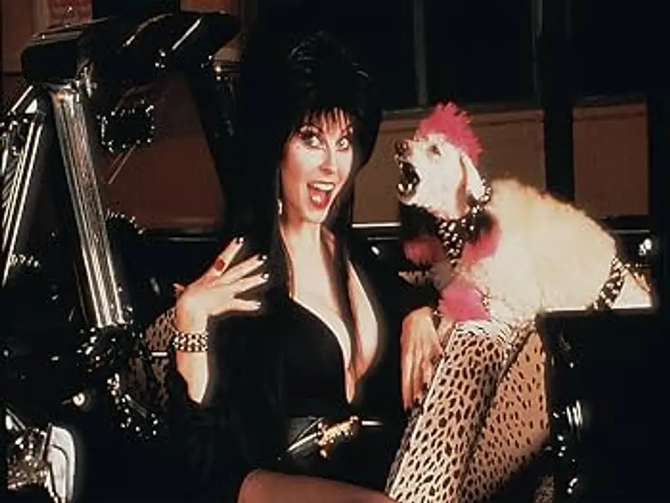 elvira-mistress-of-the-dark-gonk.jpg Elvira & Gone from Elvira Mistress of the Dark